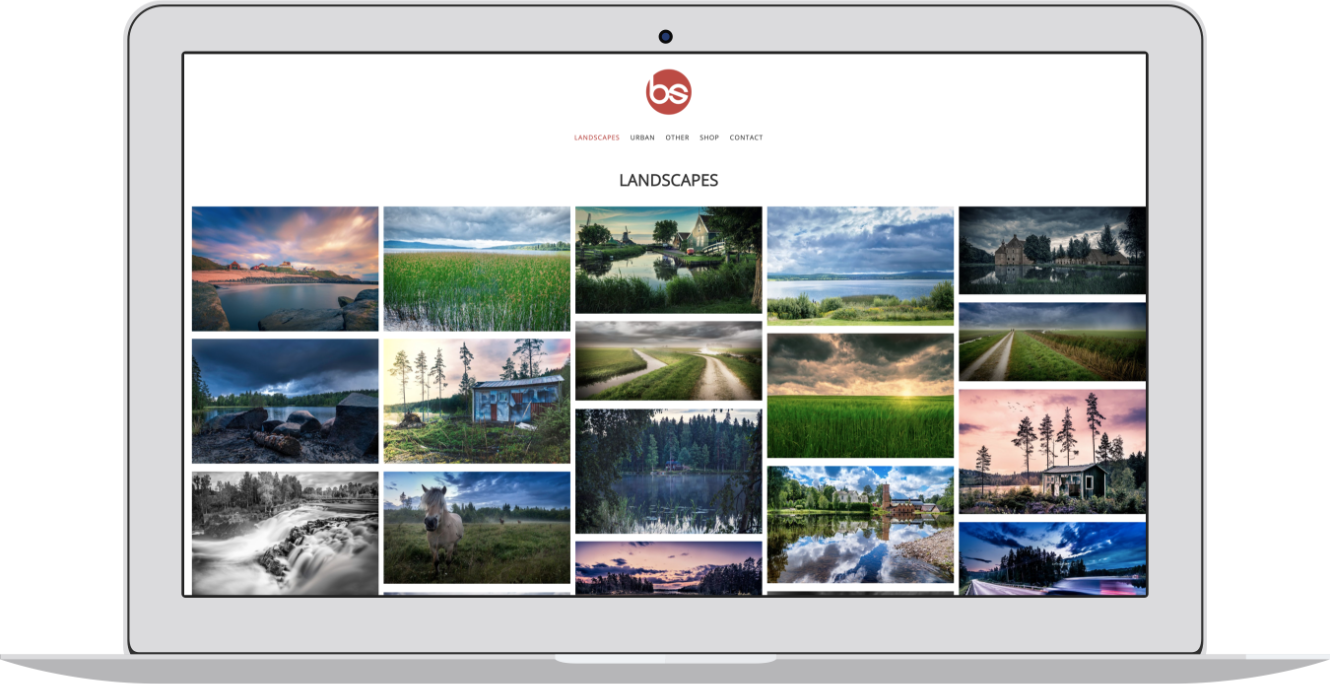 Website Preview